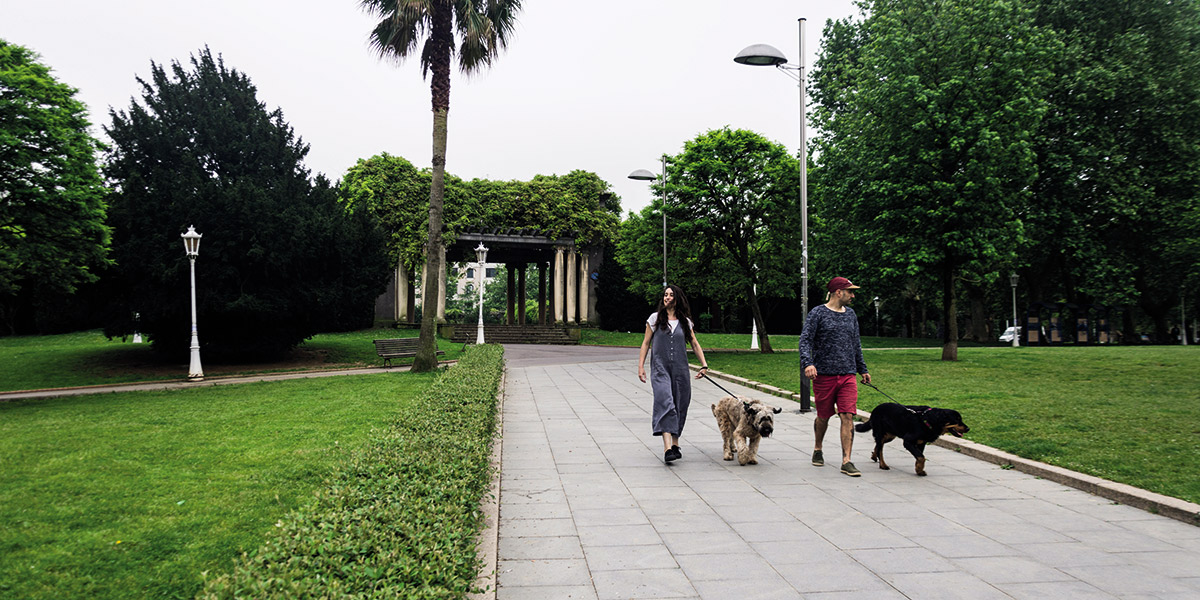 Euskadi (y sus ciudades), un destino inigualable para disfrutar con tu perro