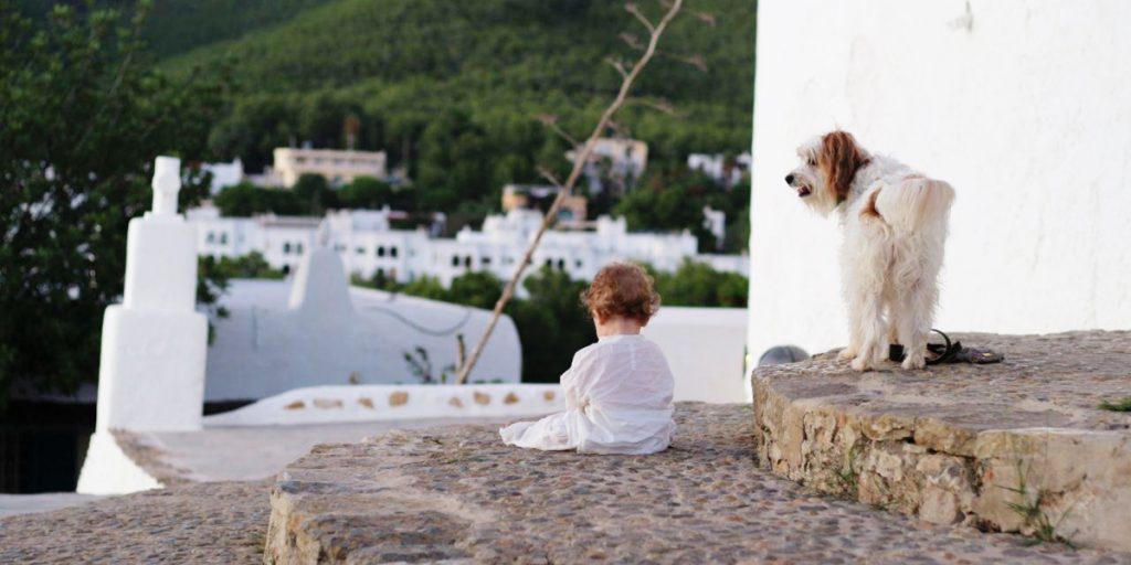 Viajar a Ibiza con perro