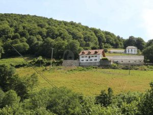 Apartamentos Zabalarena