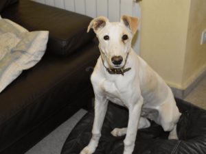 Apartamentos Barbancho