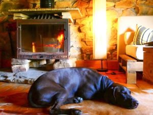 Cabañas con encanto