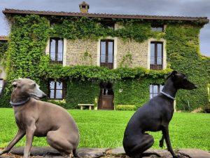 Jaca Experiencia Rural