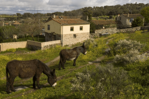 La Casa de los Arribes