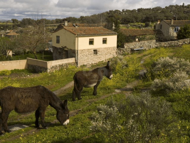 La Casa de los Arribes