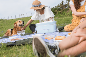 Markullukoborda Rural Suites