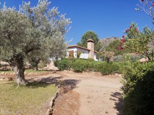 Camping y Casas Rurales El Cañar