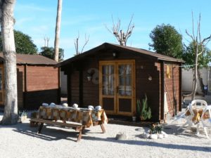 Camping Cap - Blanch