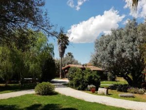 Entre Viejos Olivos Wellness Spa Resort