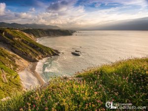 Apartamentos Cudillero