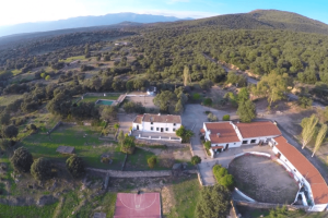 Complejo Rural Los Jarales