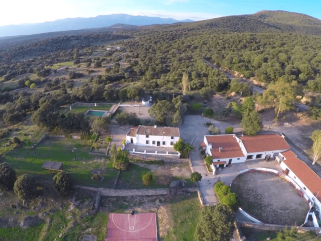 Complejo Rural Los Jarales