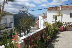 Apartamentos Jardines del Visir