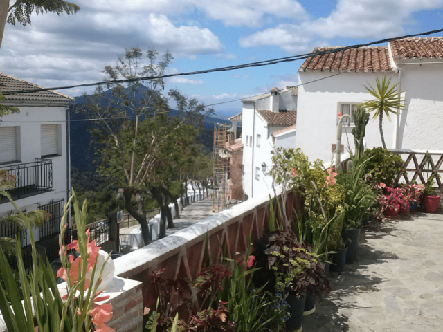 Apartamentos Jardines del Visir