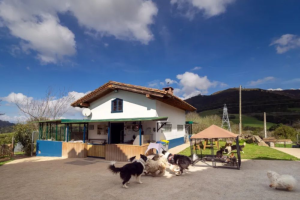 Hotel Canino La Torre Canina