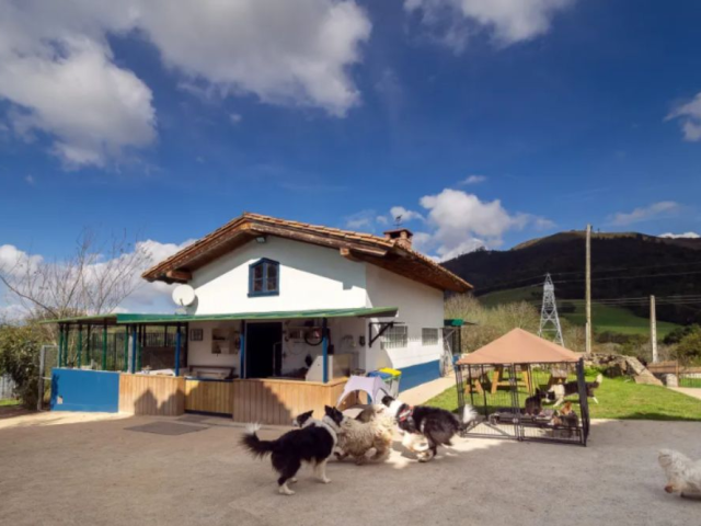 Hotel Canino La Torre Canina