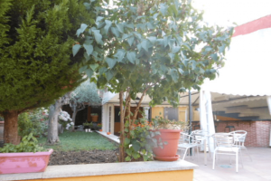 El Mirador de la Code