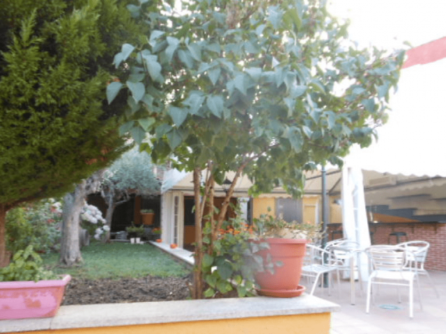 El Mirador de la Code