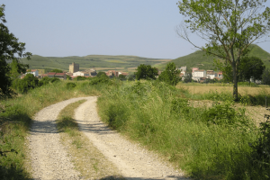 Torre Fuerte S. XIII
