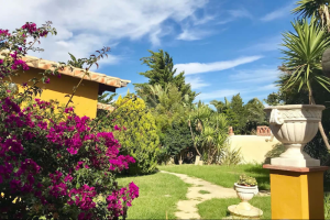 Casa Entre Armonías