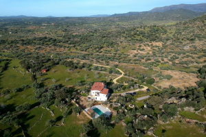 Finca Flores Amarillas