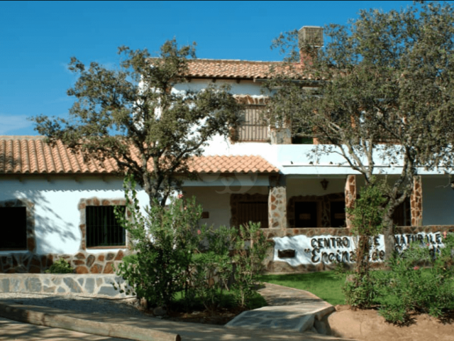 Encinar de Escardiel