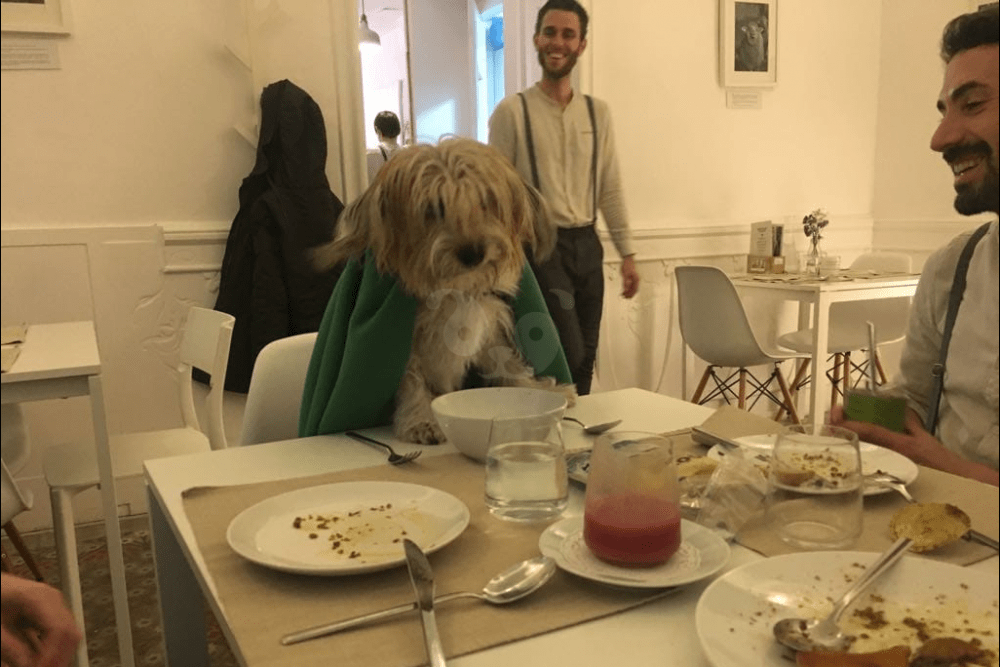 El Vergel Veggie Restaurant