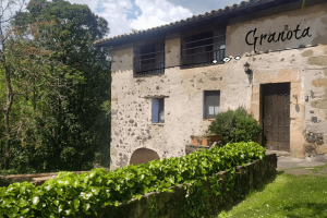 Apartaments Mas Violella