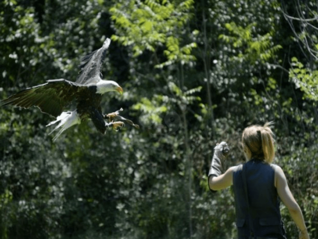 Parque Natural del Monasterio de Piedra
