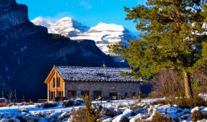 As Fuebas De Patricio