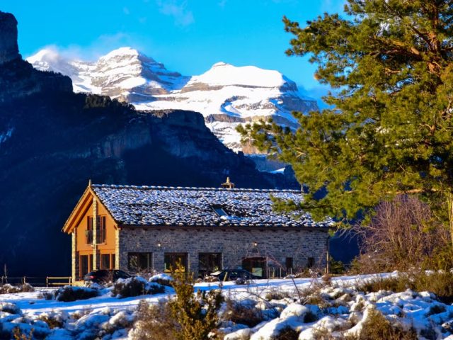 As Fuebas De Patricio