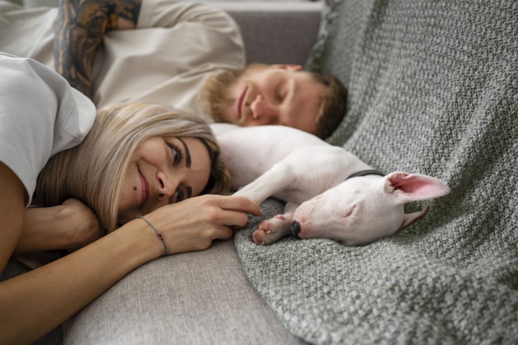 ¿Tu mascota duerme contigo? Lo que dice la ciencia sobre compartir cama con perros y gatos