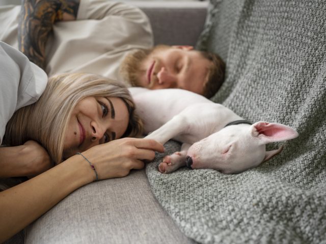 ¿Tu mascota duerme contigo? Lo que dice la ciencia sobre compartir cama con perros y gatos