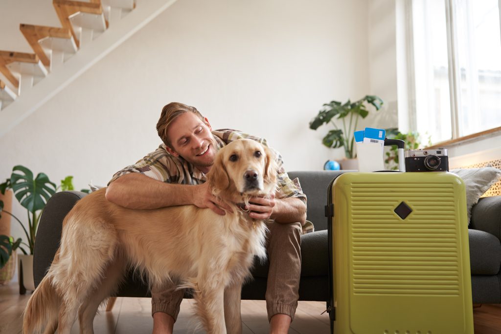 Kit de emergencia para viajar con tu mascota