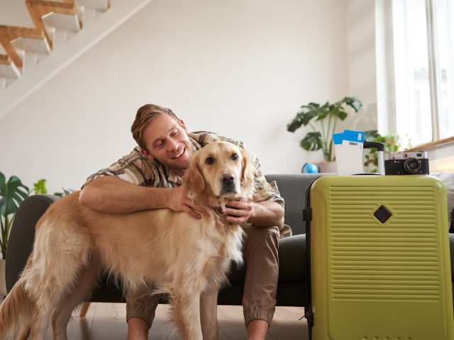 Kit de emergencia para viajar con tu mascota