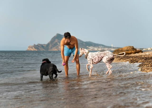 Las 3 mejores playas para perros cerca de Aragón