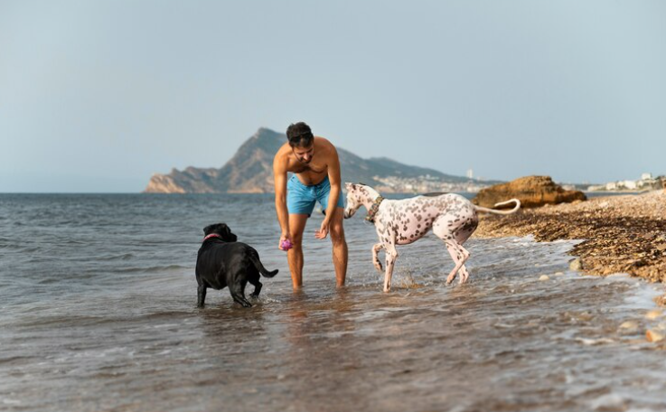 Las 3 mejores playas para perros cerca de Aragón