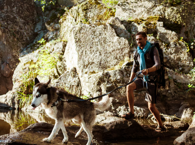 La ruta perfecta para el verano: 3 cascadas, Pirineo y un día inolvidable con tu perro