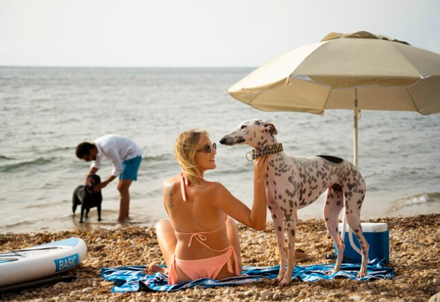 Las 5 playas de arena donde tu perro será realmente feliz este verano