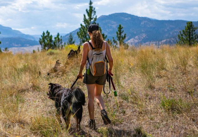 Las 5 rutas con mascotas más espectaculares de España