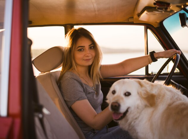 Las 5 rutas con mascota que todo amante de los animales debería hacer al menos una vez en España