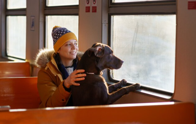 Adiós al transportín: cómo viajar con tu mascota en tren o coche sin estrés