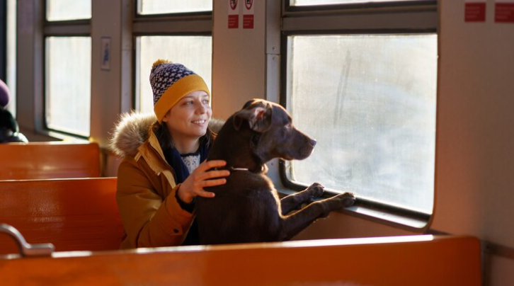 Adiós al transportín: cómo viajar con tu mascota en tren o coche sin estrés