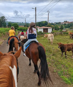 Paseos a caballo La Robleda