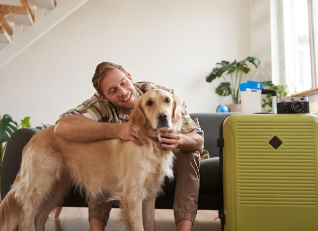 El gran error de viajar con tu mascota: preparar tu maleta y olvidar la suya