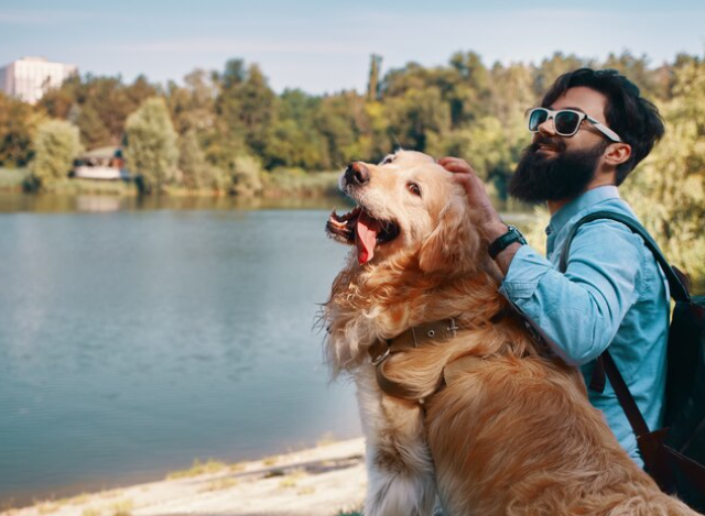 ¿Tu perro se aburre de sus vacaciones? 7 formas de convertir cualquier viaje en una aventura