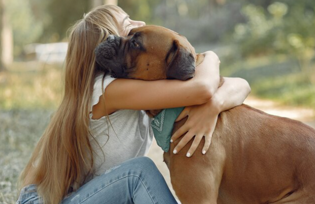 Mascotas y salud mental: cómo perros y gatos se convierten en un apoyo emocional en nuestras vidas